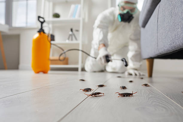 Post-Treatment Bed Bug Interceptor Monitoring in Millersville